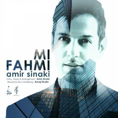 Amir Sinaki Mifahmi